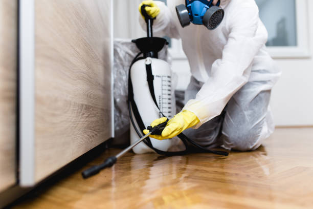 Best Local Pest Control Services  in Bloomfield Hills, MI