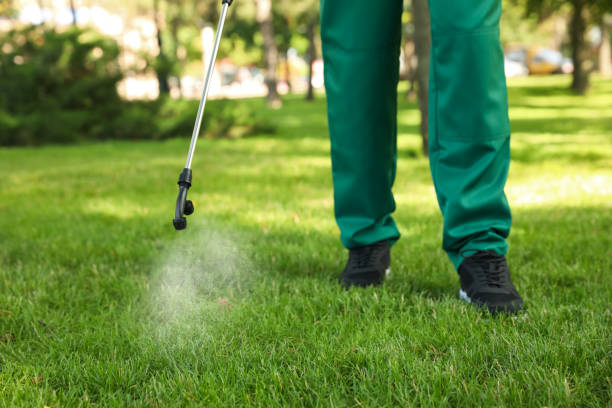 Best Bird Control  in Bloomfield Hills, MI