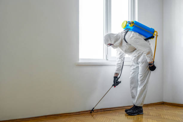 Best Termite Control Services  in Bloomfield Hills, MI