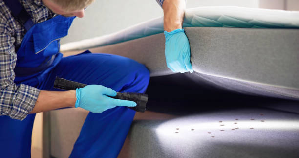 Best Rat Extermination Near Me  in Bloomfield Hills, MI