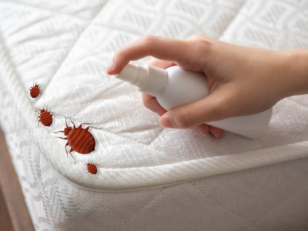 Best Mosquito Control Services  in Bloomfield Hills, MI