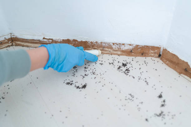 Best Wasp Removal Services  in Bloomfield Hills, MI